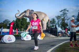 BIB: 
                            <button type="button" onclick="openModal(26541908)" class="btn btn-primary btn-sm float-right btn-popup" data-toggle="modal" data-target=".modal-high-quality">
                        <i class="fas fa-shopping-cart"></i> Add to Cart
                    </button>
                                            <button type="button" onclick="isThisMe(26541908, true)" class="btn btn-success btn-sm float-right btn-popup btn-isme hidden" data-toggle="tooltip" data-placement="bottom" title="นี่คือรูปของคุณใช่ไหม คลิกที่นี่เพื่อเอาเข้าอัลบั้ม">
                        <i class="fas fa-plus"></i> Add to album
                    </button>
                    <button type="button" onclick="isThisMe(26541908, false)" class="btn btn-warning btn-sm float-right btn-popup btn-isnotme hidden">
                        <i class="fas fa-ban"></i> Remove from album
                    </button>